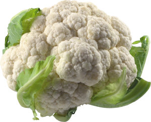 Cabbage PNG image-8793